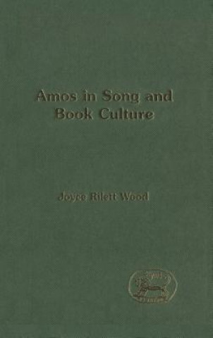 Kniha Amos in Song and Book Culture Joyce Rilett Wood