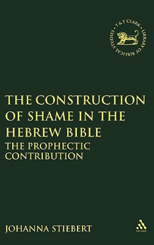 Książka Construction of Shame in the Hebrew Bible Johanna Stiebert