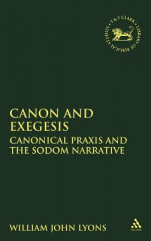 Kniha Canon and Exegesis William John Lyons