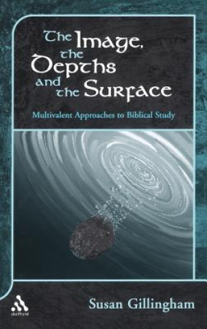 Książka Image, the Depths and the Surface Susan Gillingham