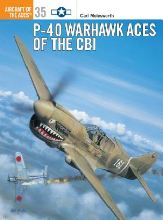 Kniha P-40 Warhawk Aces of the CBI Carl Molesworth