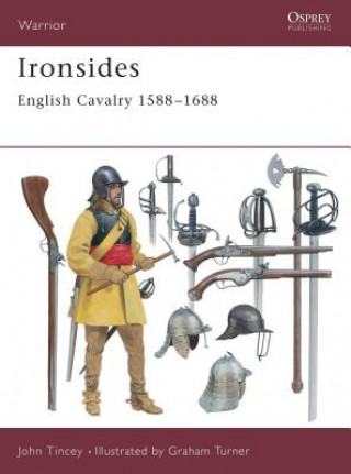 Kniha Ironsides John Tincey