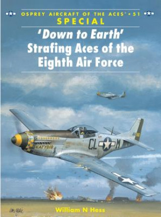 Kniha Down to Earth Strafing Aces of the Eighth Air Force William N. Hess