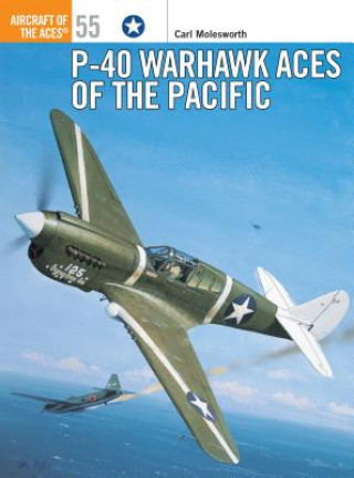 Könyv P-40 Warhawk Aces of the Pacific Carl Molesworth