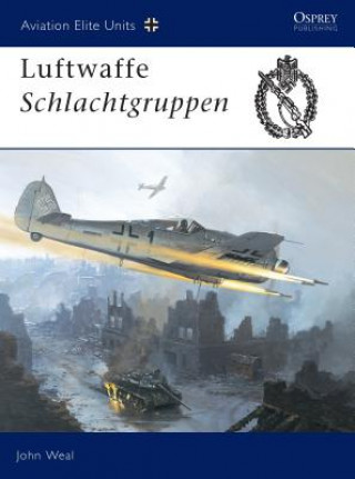 Kniha Luftwaffe Schlachtgruppen John Weal