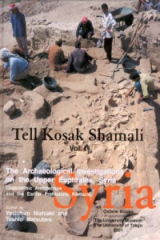 Книга Tell Kosak Shamali Vol I Yoshihiro Nishiaki