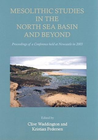 Könyv Mesolithic Studies In The North Sea Basin And Beyond Clive Waddington