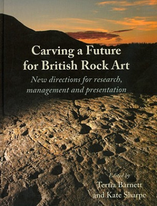 Carte Carving a Future for British Rock Art 