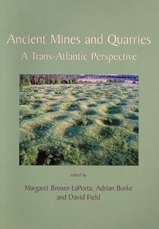 Kniha Ancient Mines and Quarries Adrian Burke