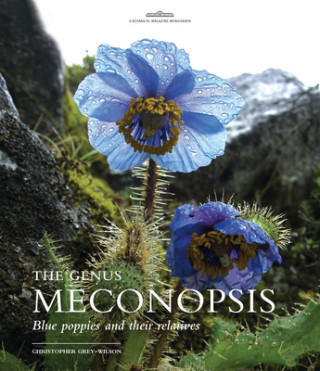 Kniha Genus Meconopsis, The Christopher Grey-Wilson