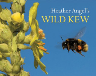 Книга Heather Angel's Wild Kew Heather Angel