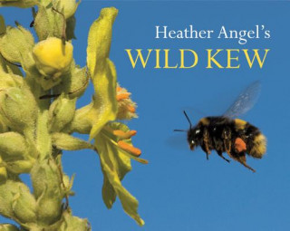 Buch Heather Angel's Wild Kew Heather Angel