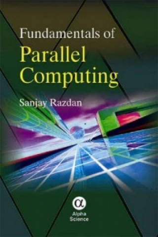 Kniha Fundamentals of Parallel Computing Sanjay Razdan
