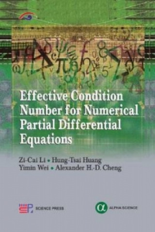 Könyv Effective Condition Number for Numerical Partial Differential Equations Yimin Wei