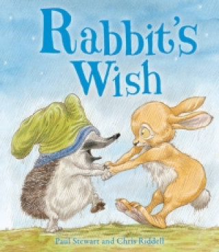 Könyv Rabbit's Wish Paul Stewart