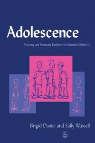 Knjiga Adolescence Brigid Daniel