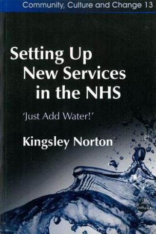 Kniha Setting Up New Services in the NHS Kingsley Norton