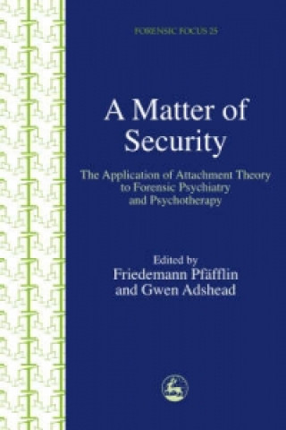 Könyv Matter of Security Friedemann Pfafflin