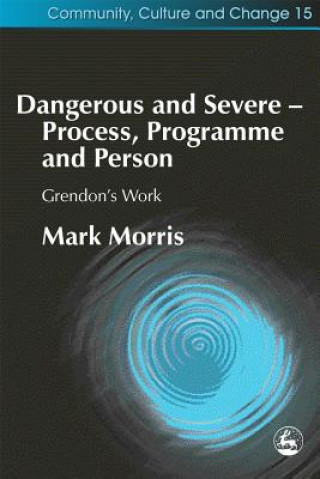 Kniha Dangerous and Severe - Process, Programme and Person Mark Morris