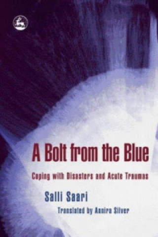 Kniha Bolt from the Blue Salli Saari