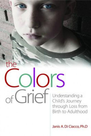 Kniha Colors of Grief Janis A. Di Ciacco