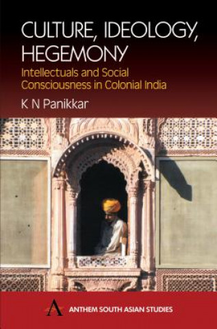 Книга Culture, Ideology, Hegemony K.N. Panikkar