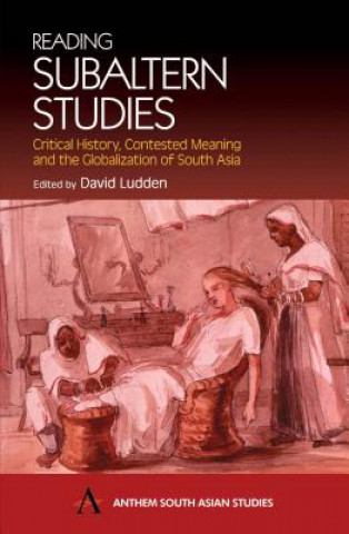 Kniha Reading Subaltern Studies David Ludden