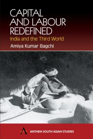Könyv Capital and Labour Redefined Amiya Kumar Bagchi