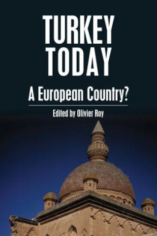 Книга Turkey Today Olivier Roy