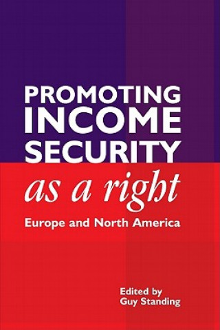 Könyv Promoting Income Security as a Right Ian Parker