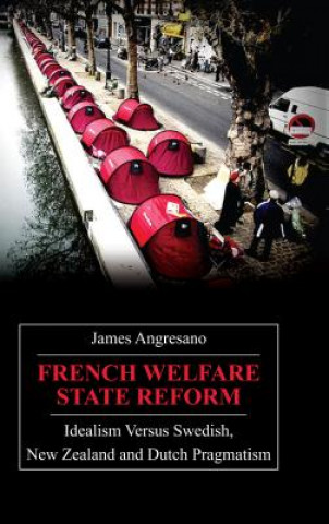 Könyv French Welfare State Reform James Angresano