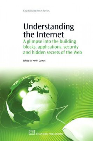 Buch Understanding the Internet Kevin Curran