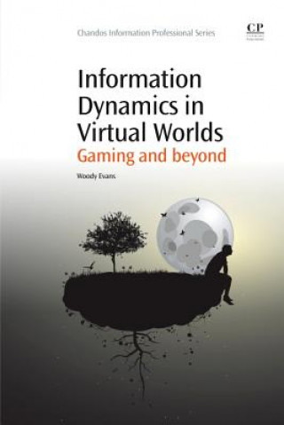 Kniha Information Dynamics in Virtual Worlds Evans