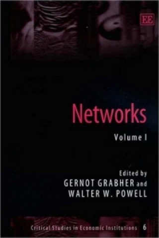 Boek Networks Gernot Grabher