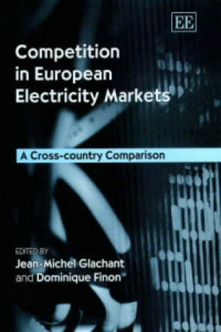 Kniha Competition in European Electricity Markets Dominique Finon