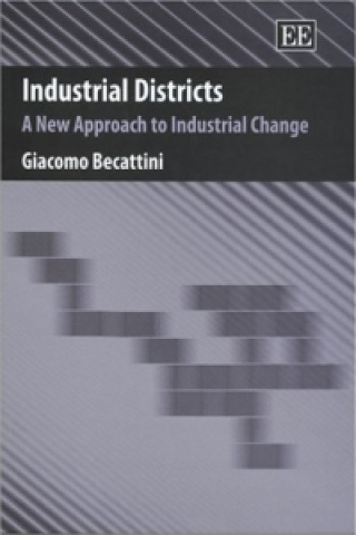 Knjiga Industrial Districts G. Becattini