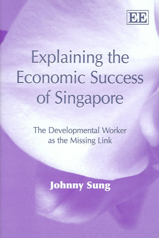 Kniha Explaining the Economic Success of Singapore SUNG