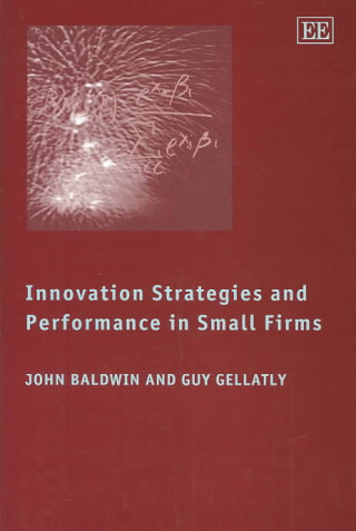 Książka Innovation Strategies and Performance in Small Firms John R. Baldwin
