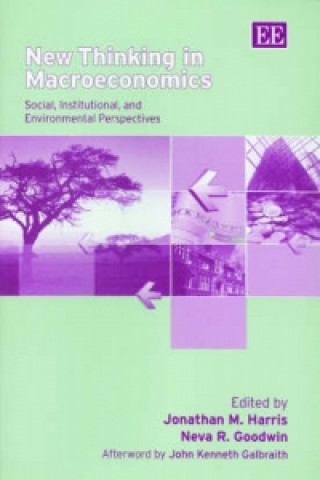 Kniha New Thinking in Macroeconomics - Social, Institutional, and Environmental Perspectives 