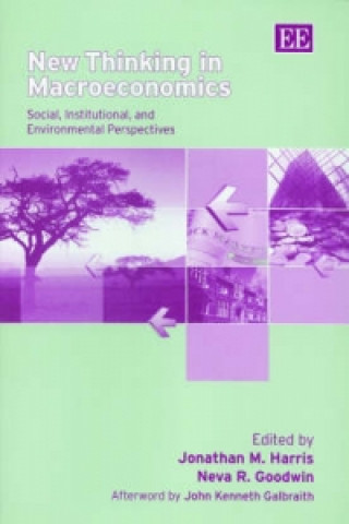 Книга New Thinking in Macroeconomics - Social, Institutional, and Environmental Perspectives 