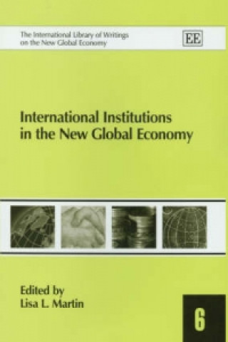 Kniha International Institutions in the New Global Economy 