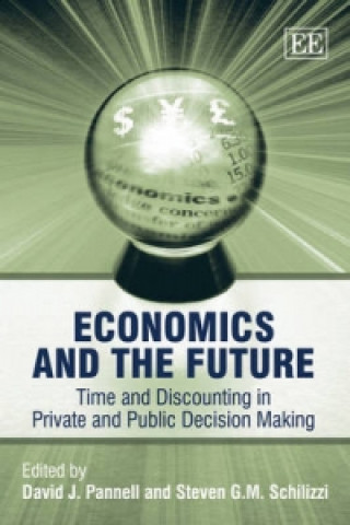 Buch Economics and the Future PANNELL