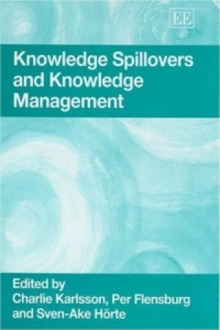 Livre Knowledge Spillovers and Knowledge Management 