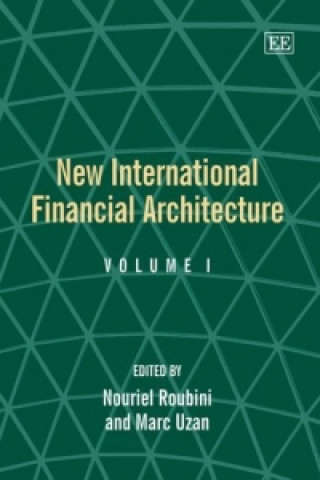 Könyv New International Financial Architecture 