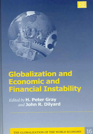 Könyv Globalization and Economic and Financial Instability 