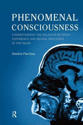 Buch Phenomenal Consciousness Dimitris Platchias