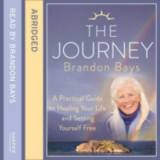 Audiobook Journey: A Practical Guide to Healing Your life and Setting Yourself Free Brandon Bays