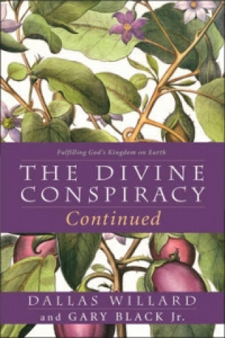 Kniha Divine Conspiracy Continued Gary Black