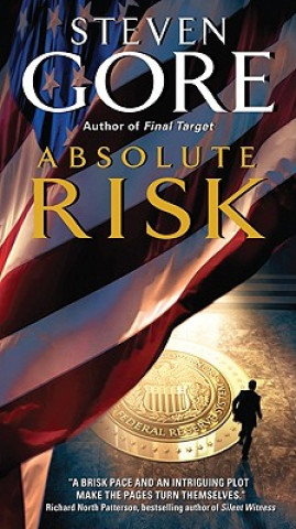 Kniha Absolute Risk Steven Gore