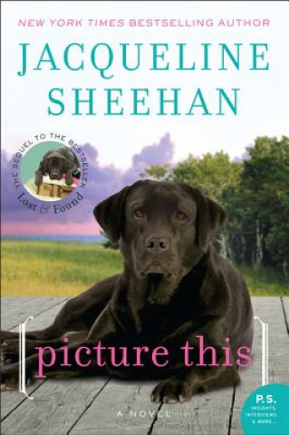 Книга Picture This Jacqueline Sheehan